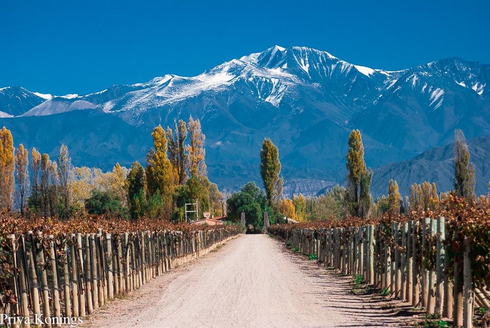 Romantic weekend in Mendoza, Argentina